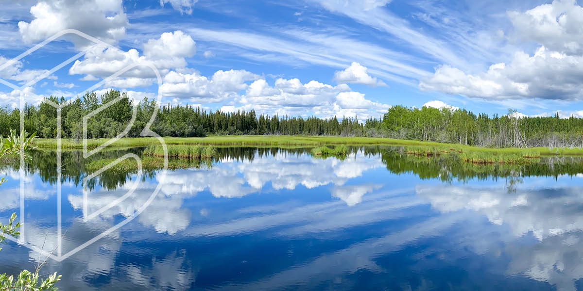 Banner image: Clear blue sky and a forest of green trees reflected in the waters of a lake