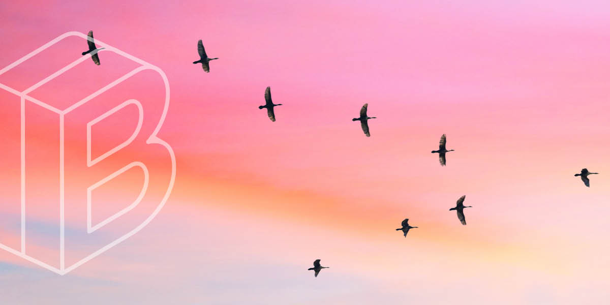 Banner: Geese flying in V formation against a sunset-filled sky