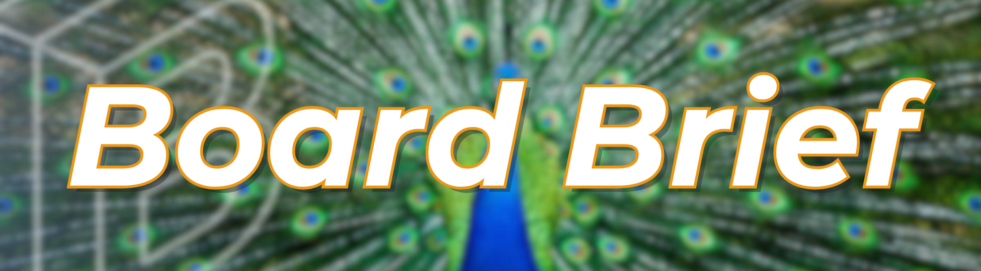 Board Brief